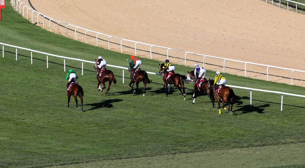 Başkanlık Koşusu’nda zafer Baronial’in