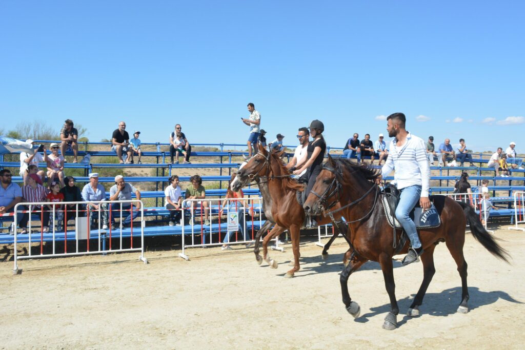 Side Rahvan At Yarışları’na yoğun ilgi